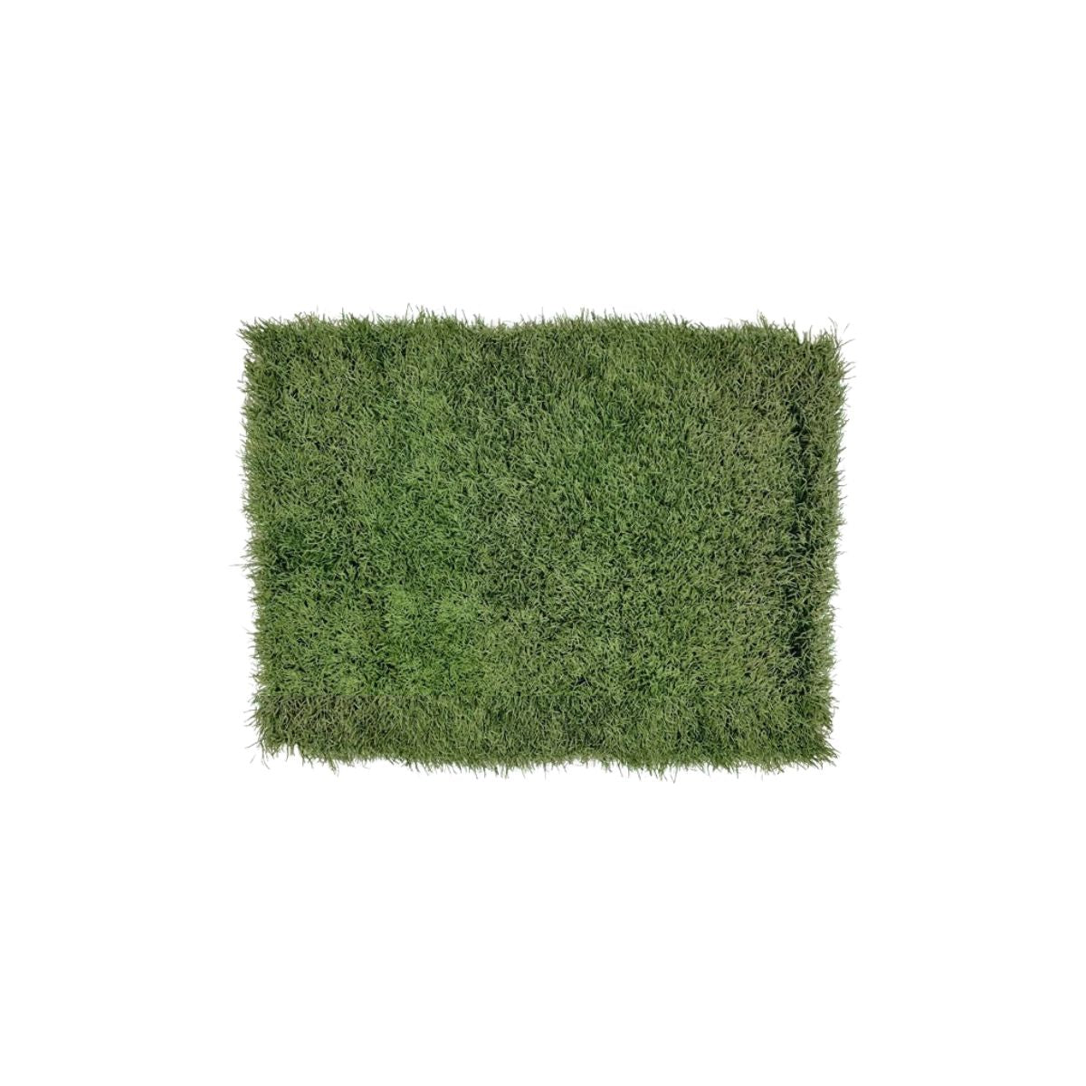 University of Michigan Authentic Michigan Stadium 18" x 30" Turf Doormat