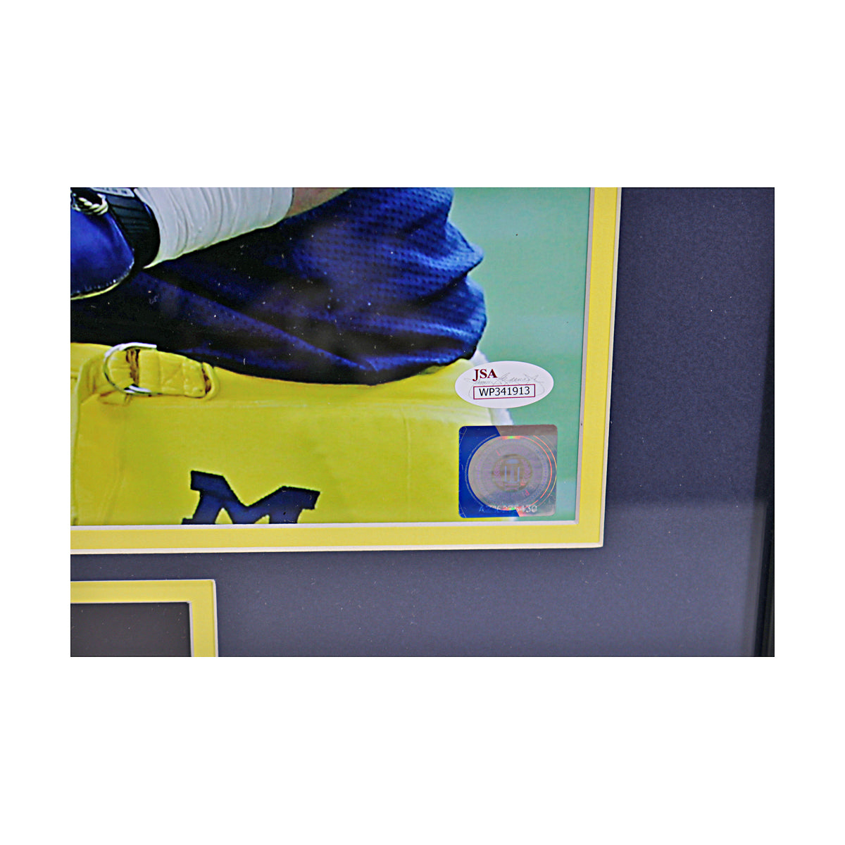Jake Butt Signed Michigan Wolverines 16x20 Celebration Framed Photo (JSA COA) - Sticker View