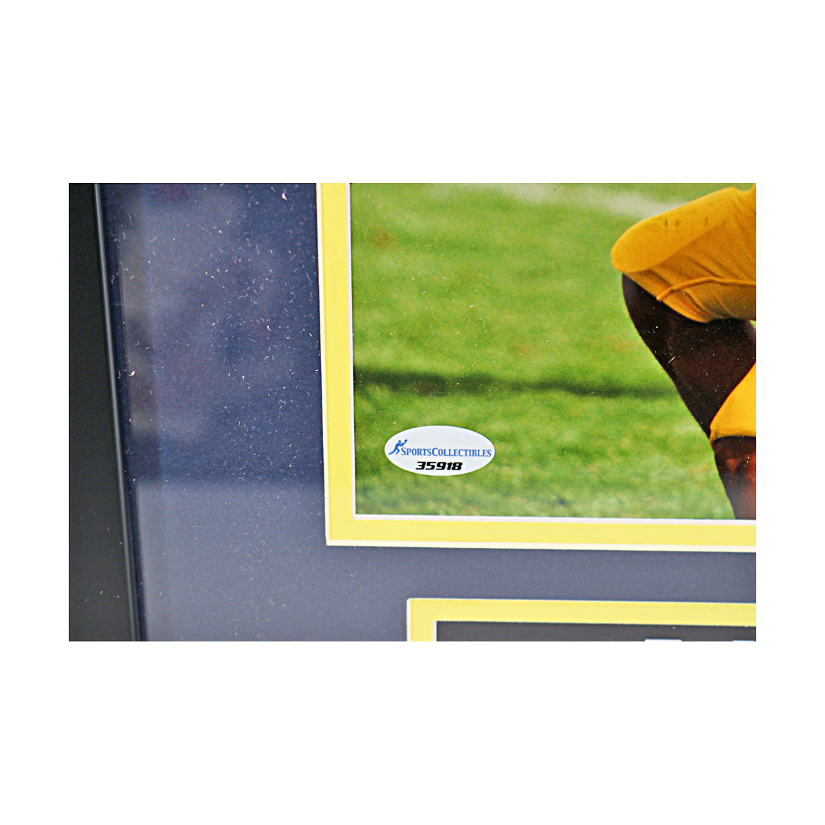 Ty Law Signed Michigan Wolverines 8x10 Framed Photo (SC COA) - Sticker View
