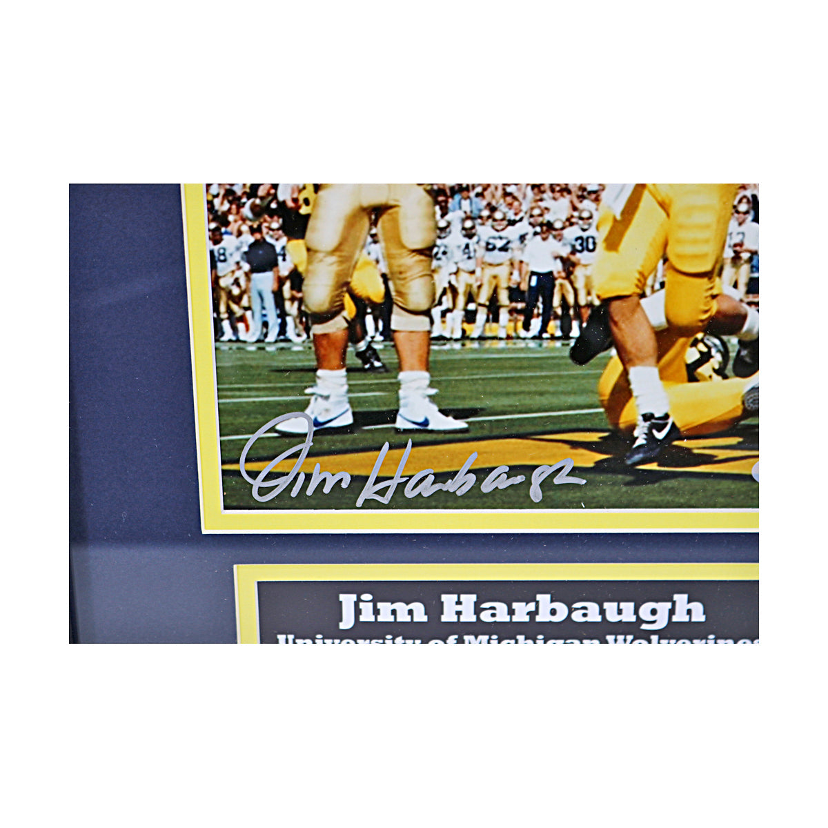 Jim Harbaugh Michigan Wolverines Autographed Signed 8x10 Celebration Framed Photo (Beckett COA) - Signature View