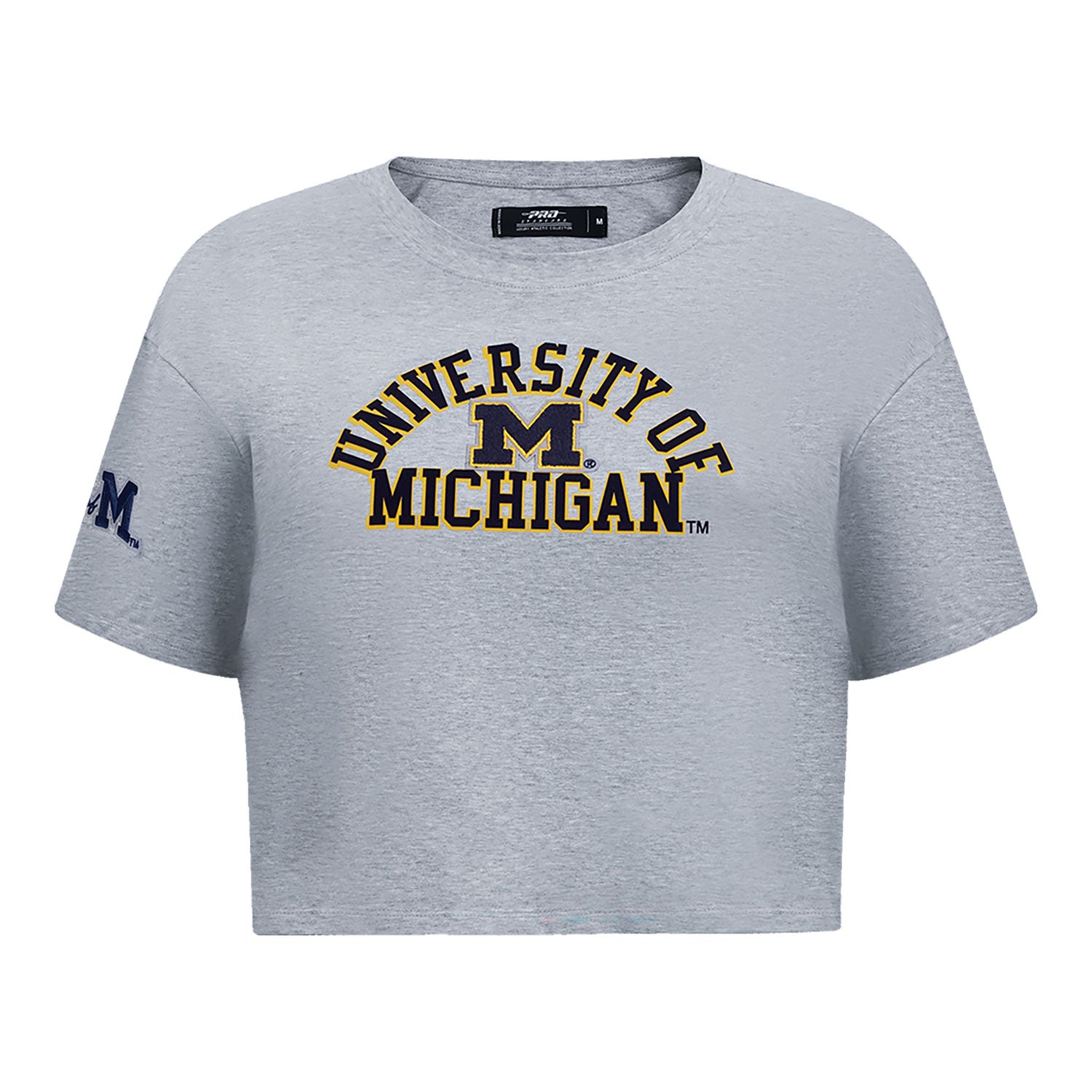 Michigan Wolverines Ladies Classic Grey SJ Boxy Tee In Grey - Front View