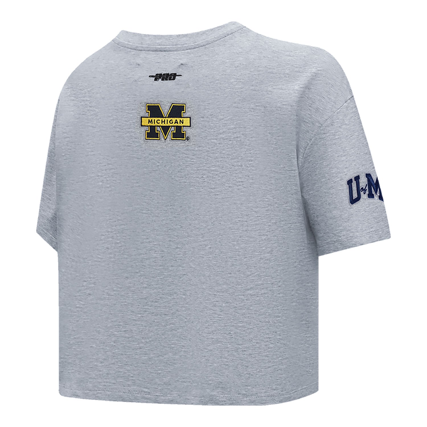 Michigan Wolverines Ladies Classic Grey SJ Boxy Tee In Grey - Back Side View