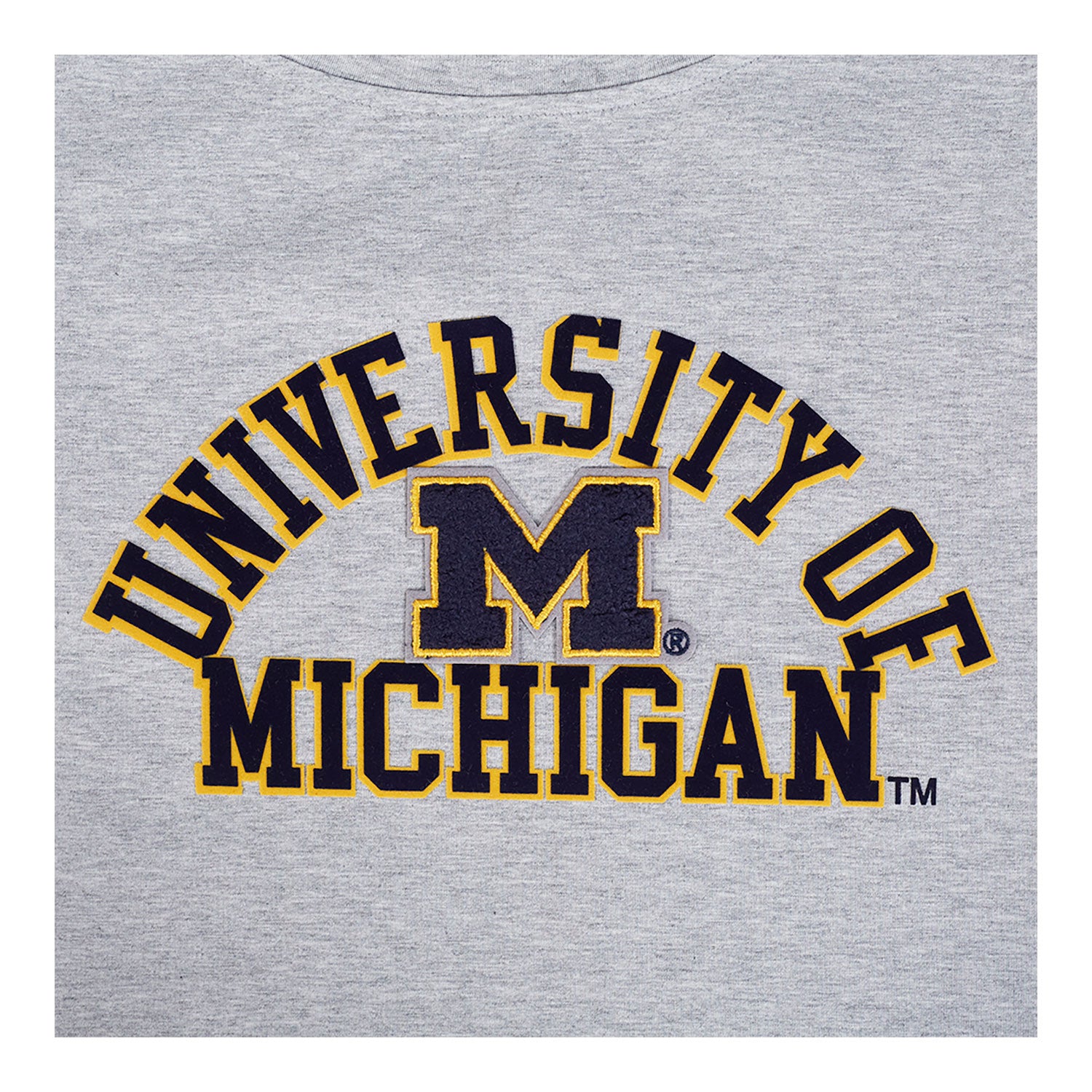 Michigan Wolverines Ladies Classic Grey SJ Boxy Tee In Grey - Front Logo View