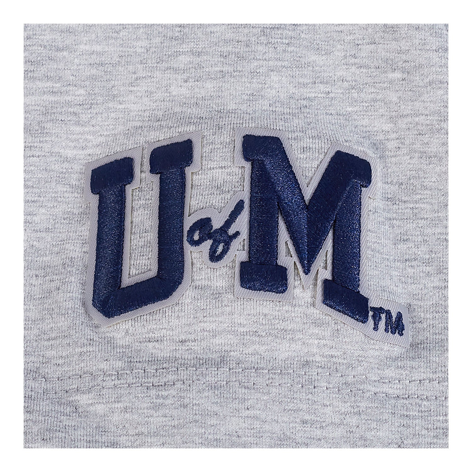 Michigan Wolverines Ladies Classic Grey SJ Boxy Tee In Grey - Logo View