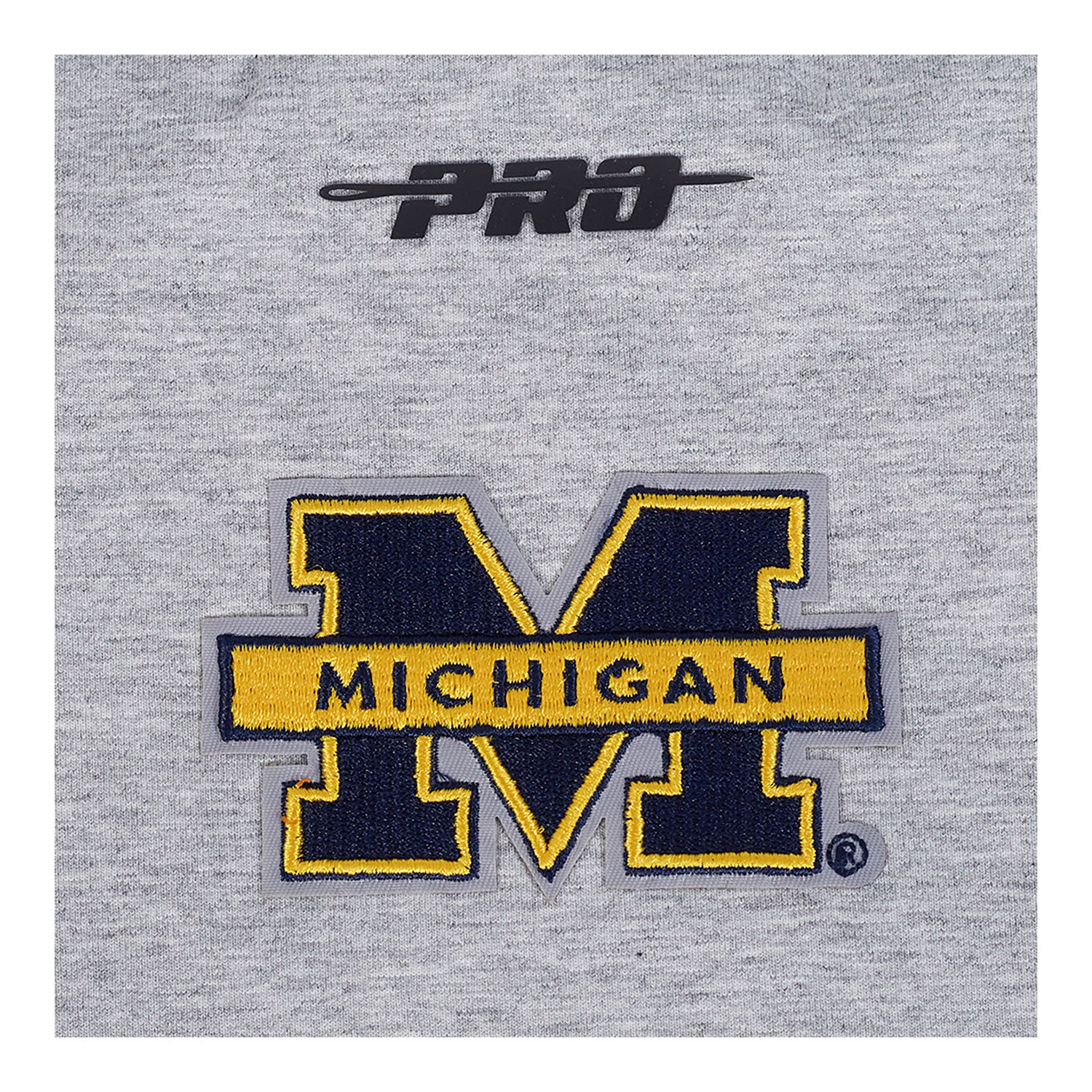 Michigan Wolverines Ladies Classic Grey SJ Boxy Tee In Grey - Logo View