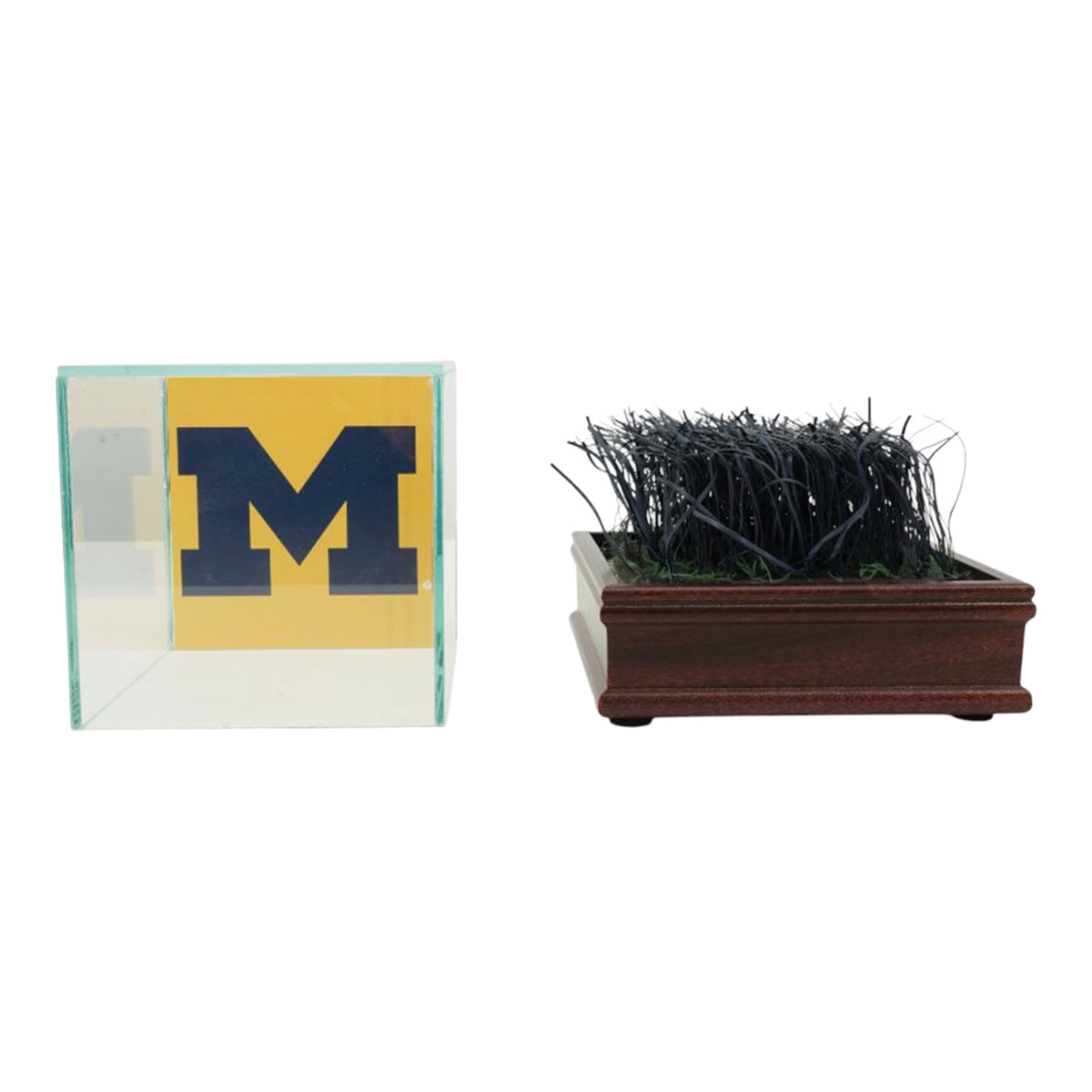 Michigan Wolverines Authentic Michigan Stadium Endzone Turf with Glass Case
