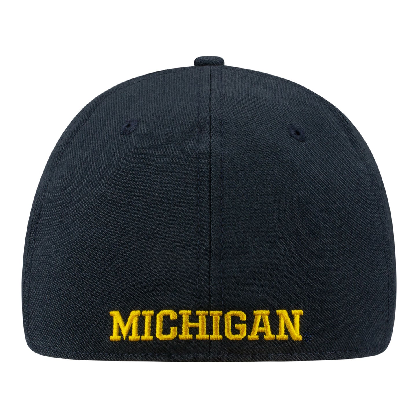 Michigan Wolverines Jordan Practice Flex Hat In Black - Back View