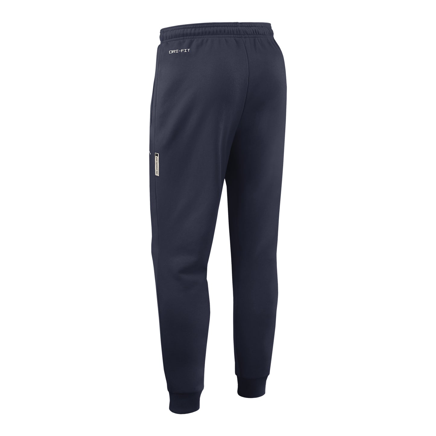 Michigan Wolvernes Nike Jordan Navy Tapered Pants - Back View