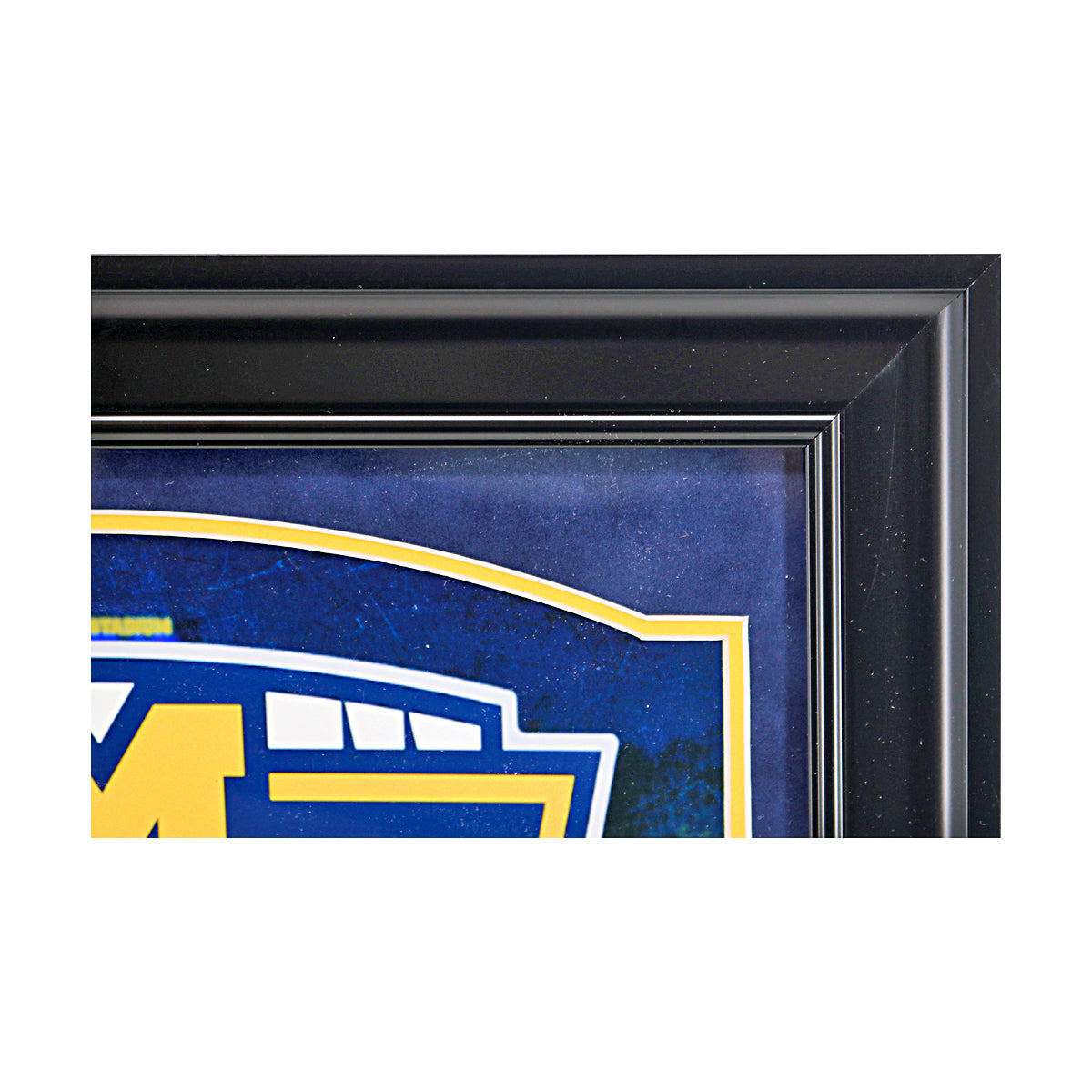 Cornelius Johnson Michigan Wolverines Autographed Signed 14" x 22" Framed Photo Collage - Frame View