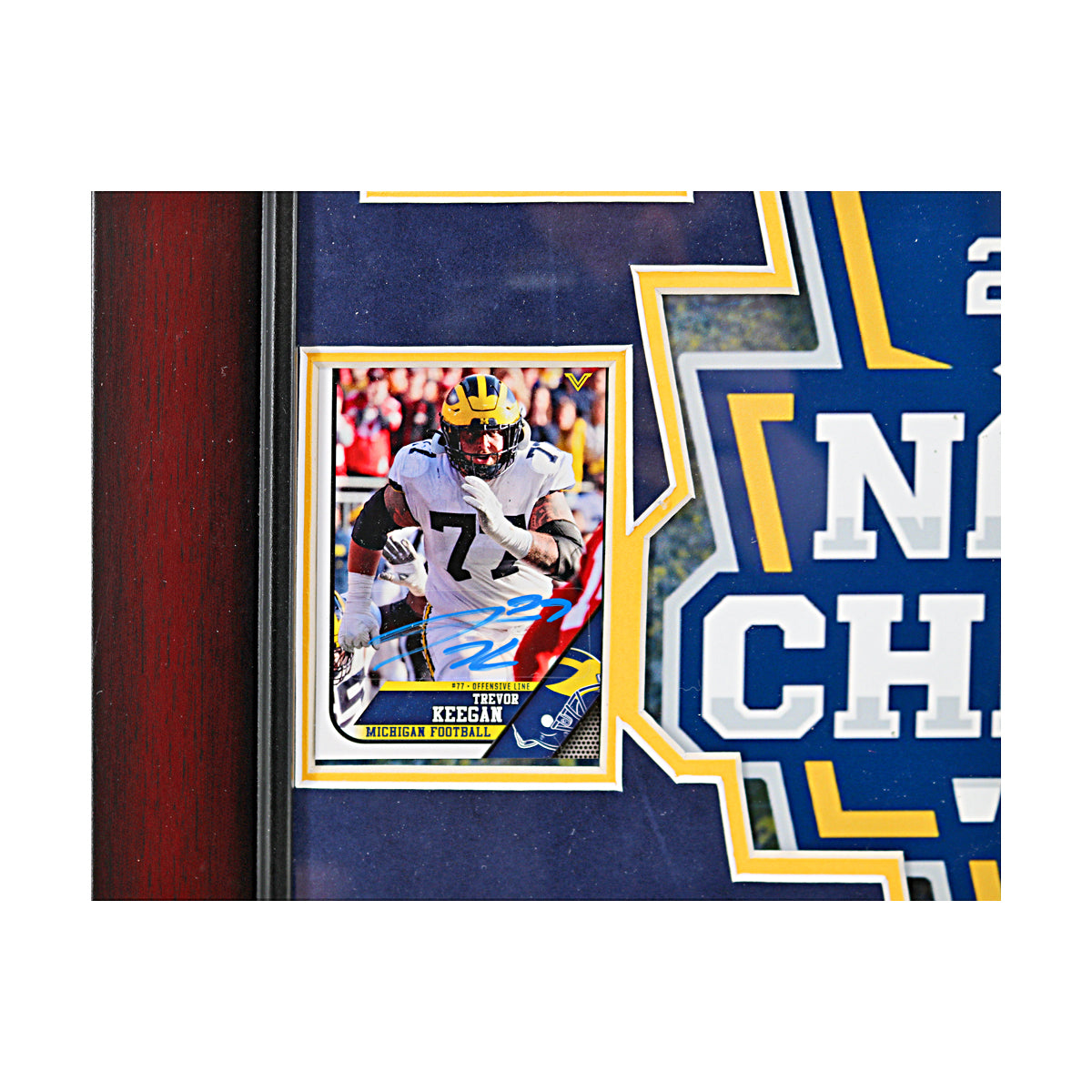 Michigan Wolverines Autographed Signed 6 Card 2023 National Champions 16" x 19" Framed Collage - Signed Player Card View 2