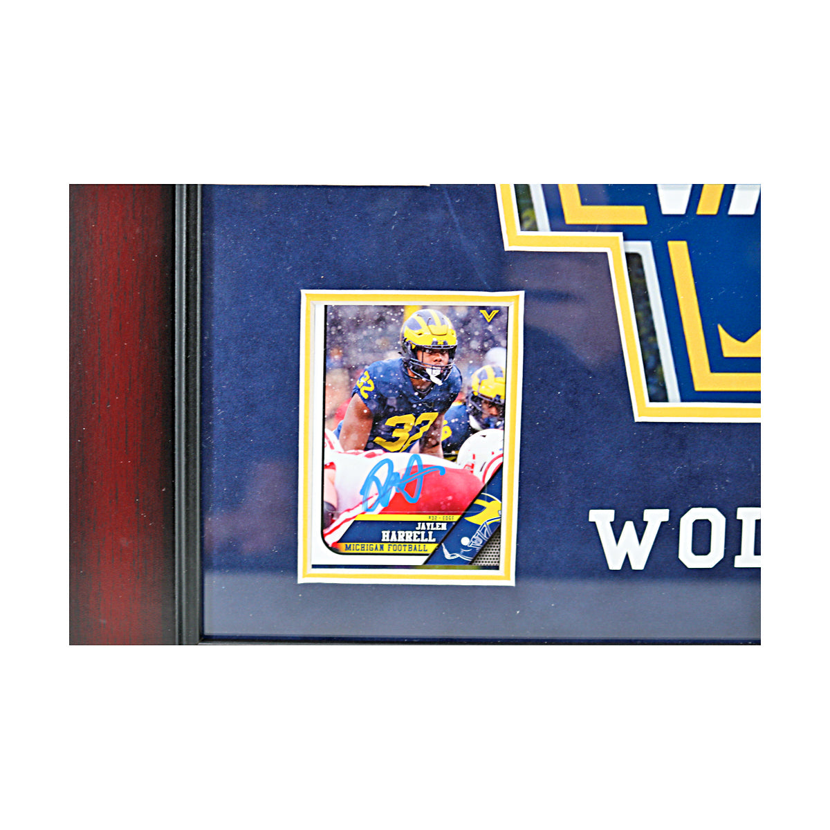 Michigan Wolverines Autographed Signed 6 Card 2023 National Champions 16" x 19" Framed Collage - Signed Player Card View 3