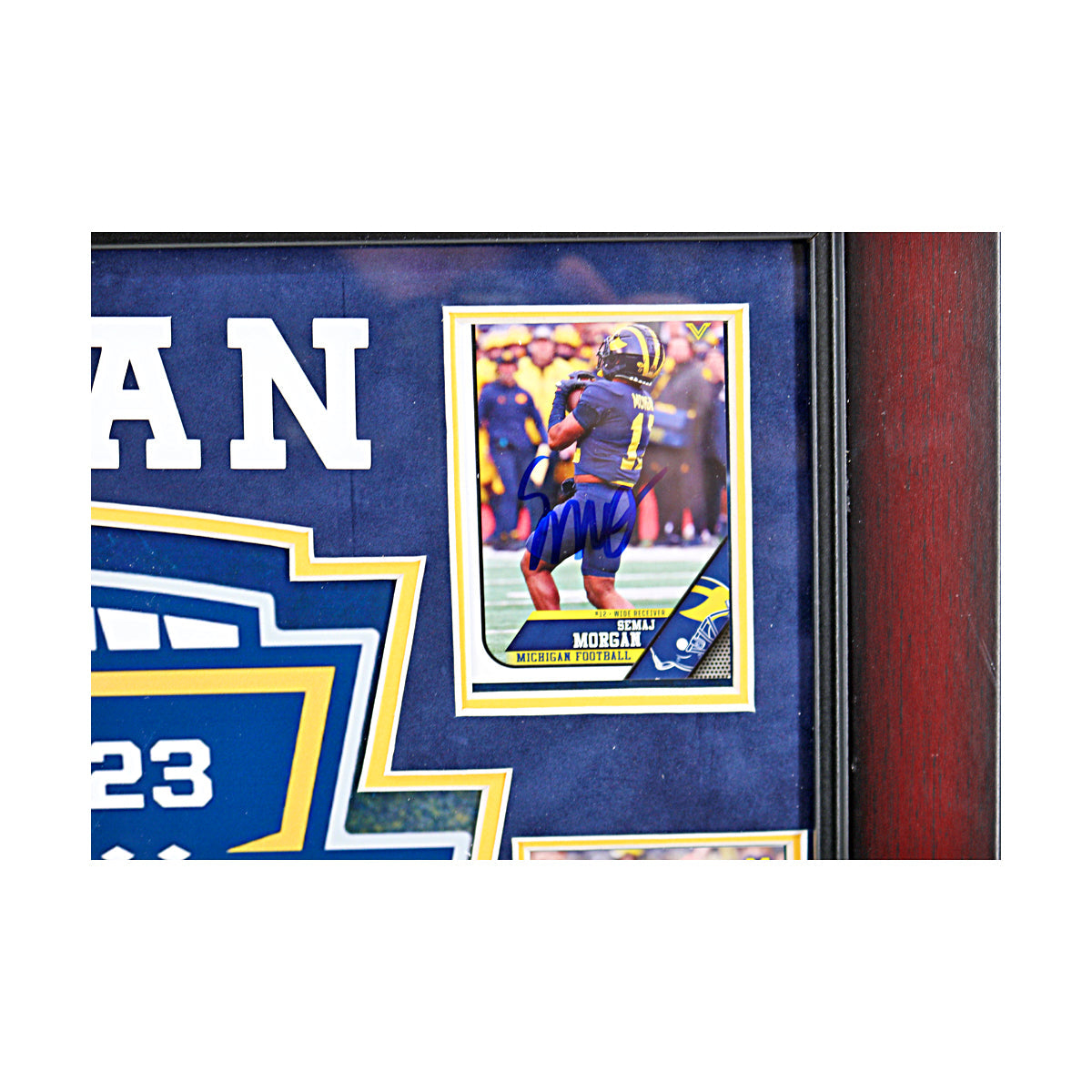 Michigan Wolverines Autographed Signed 6 Card 2023 National Champions 16" x 19" Framed Collage - Signed Player Card View 6