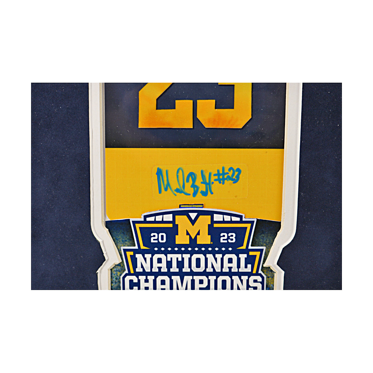 Michael Barrett, Cornelius Johnson & Trente Jones Michigan Wolverines Autographed Signed Framed 20" x 28" Framed Collage - Signature View
