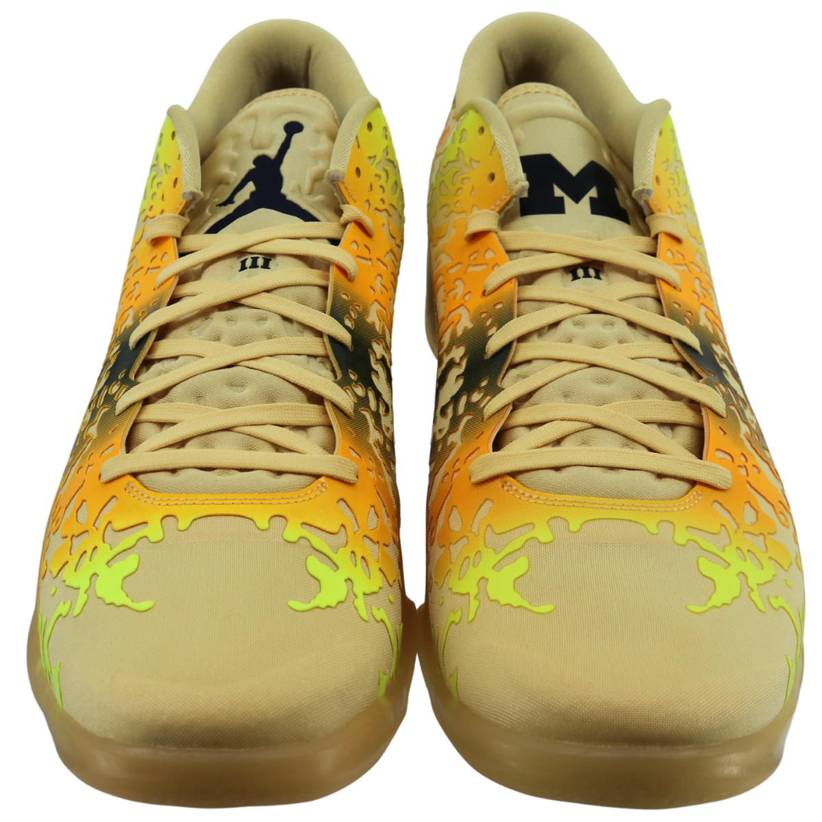 michigan 3s jordan