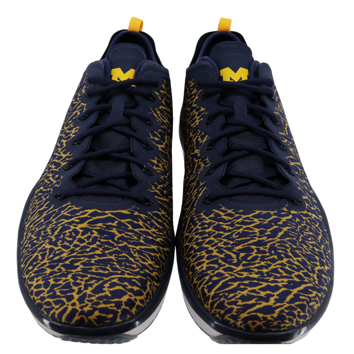 Nike Air Jordan Trainer Low Cheetah Print – The M Den Shop