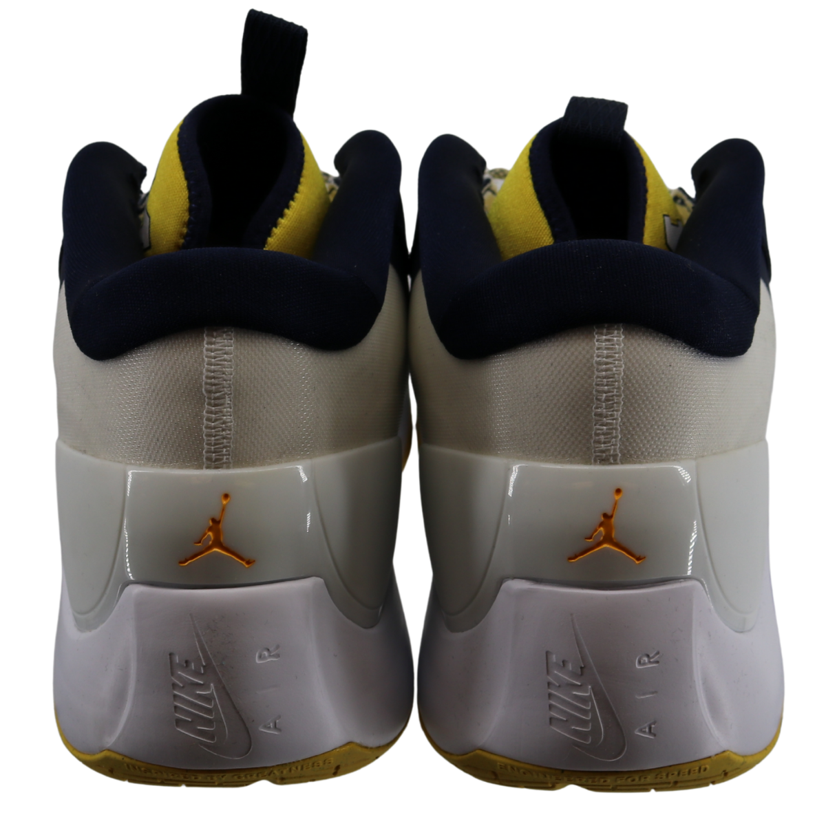 Nike Air Jordan Zoom Separate Michigan Wolverines P White
