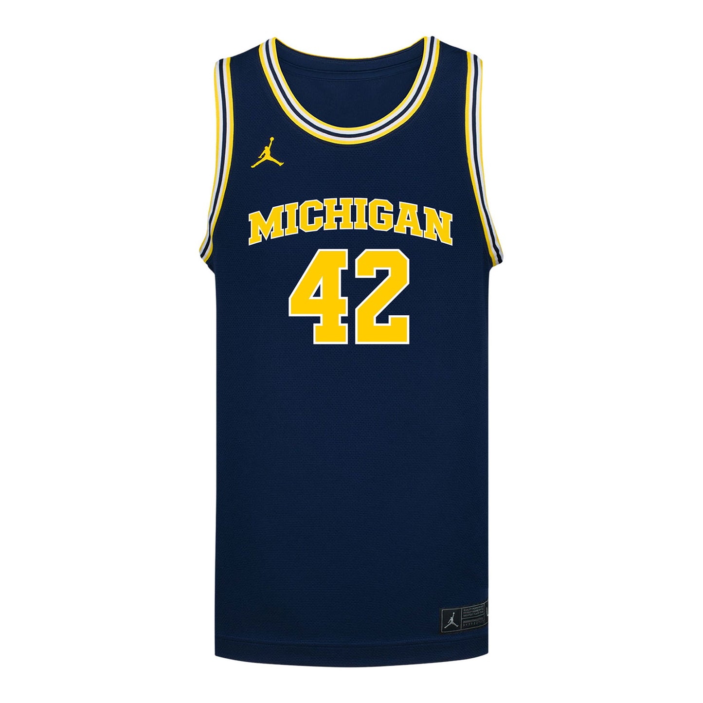 Michigan Wolverines #42 Will Tschetter Student Athlete Blue Basketball Jersey In Blue - Back View