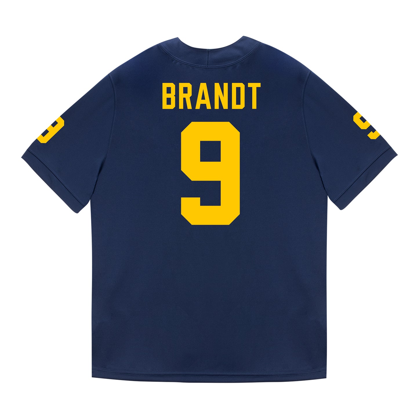 Michigan Wolverines #9 Cameron Brandt Student Athlete Blue Football Jersey - Back View