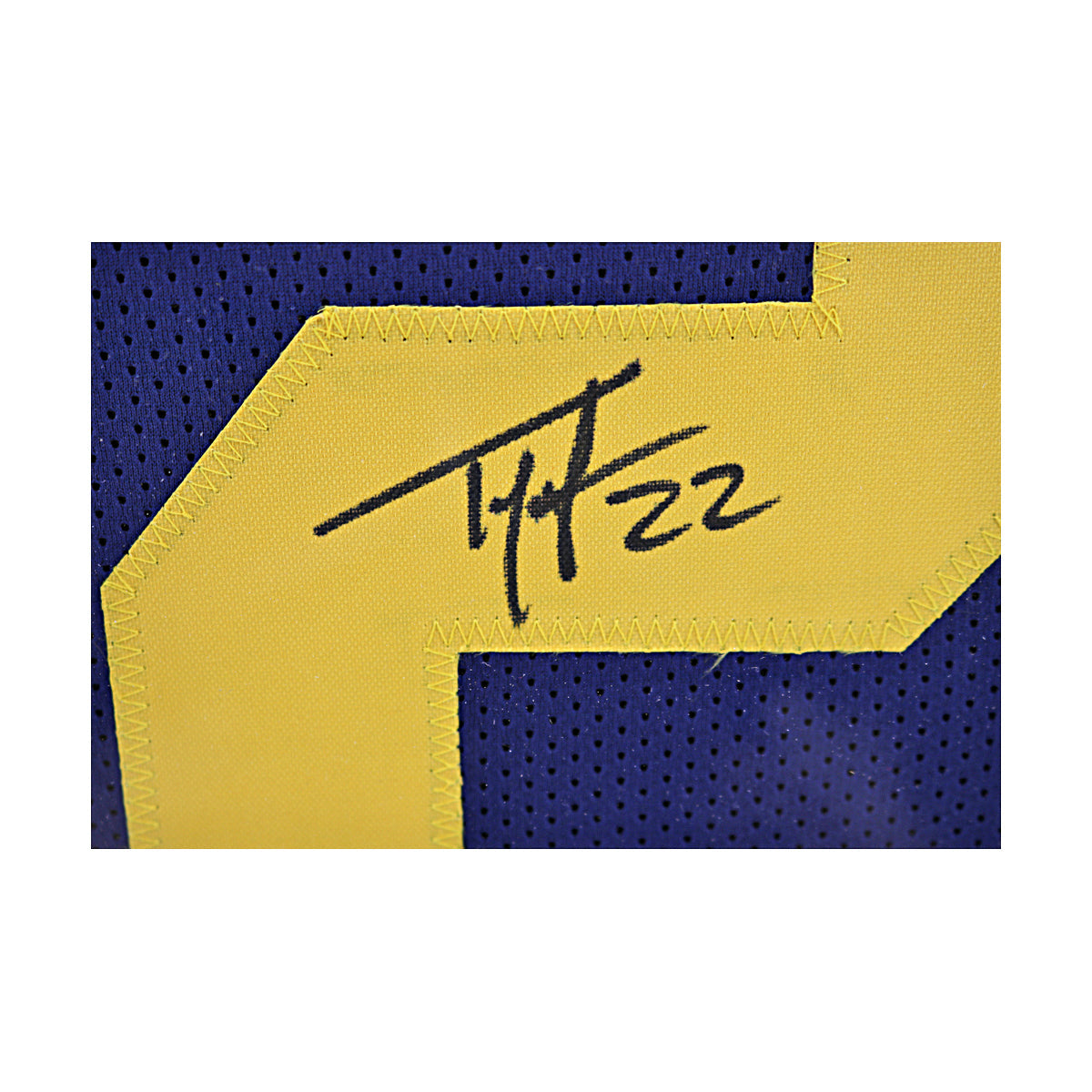Ty Law Signed Michigan Wolverines Framed Pro-Style Blue Jersey (Beckett Auth) - Signed Jersey View