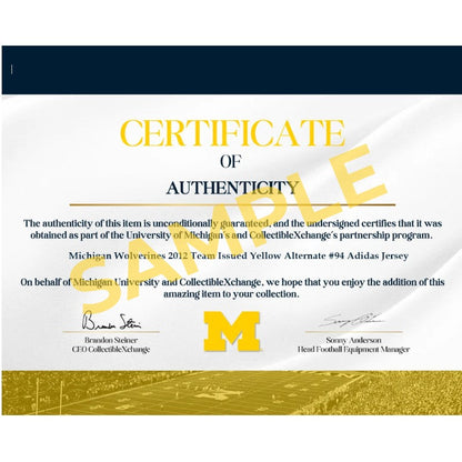 University of Michigan Framed Collage with Authentic Piece of Michigan Stadium Endzone Turf