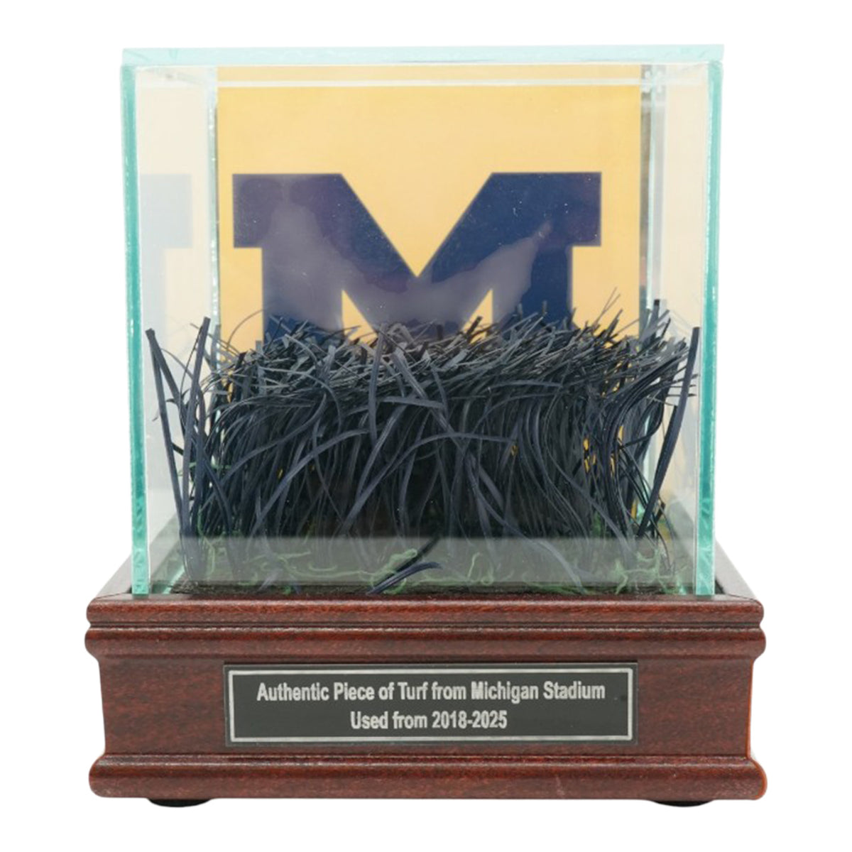 Michigan Wolverines Authentic Michigan Stadium Endzone Turf with Glass Case