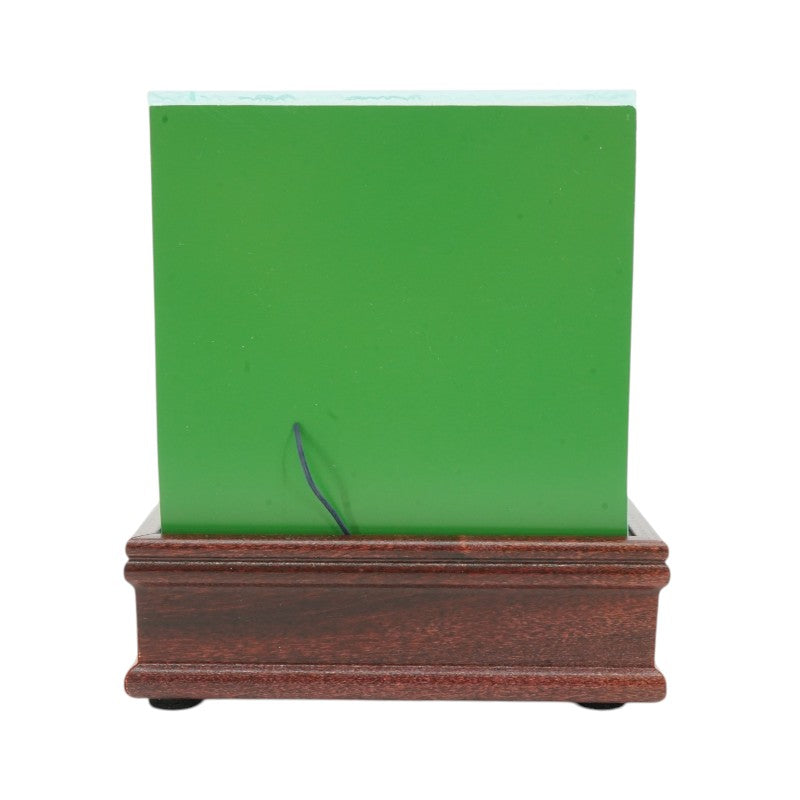 University of Michigan Authentic Piece of Michigan Stadium Endzone Turf with Glass Case