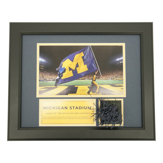 University of Michigan Framed Collage with Authentic Piece of Michigan Stadium Endzone Turf