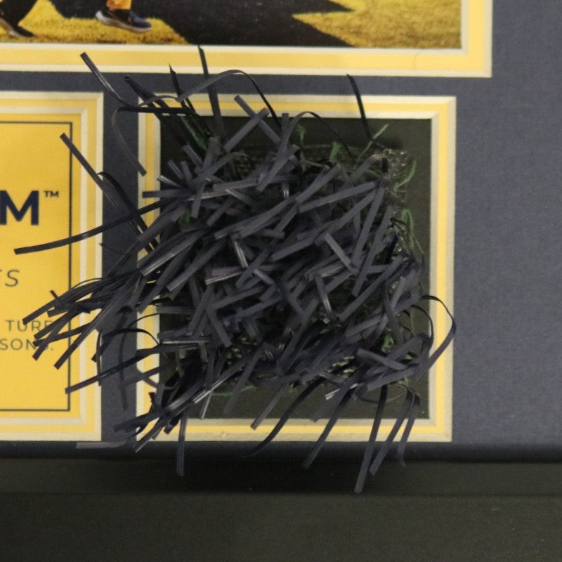 University of Michigan Framed Collage with Authentic Piece of Michigan Stadium Endzone Turf