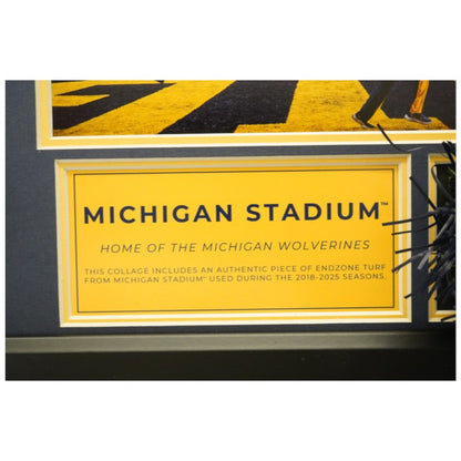 University of Michigan Framed Collage with Authentic Piece of Michigan Stadium Endzone Turf