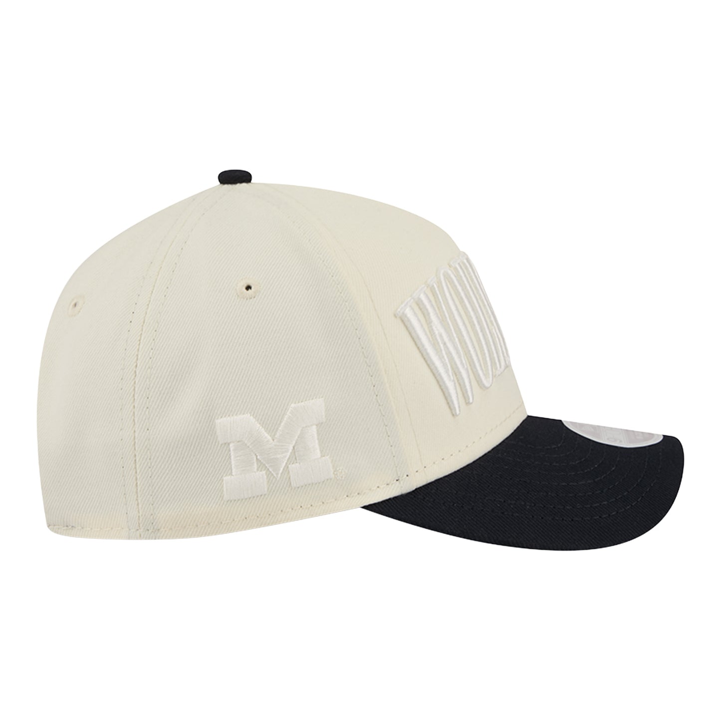 Michigan Wolverines New Era Ladies Two Tone Hat