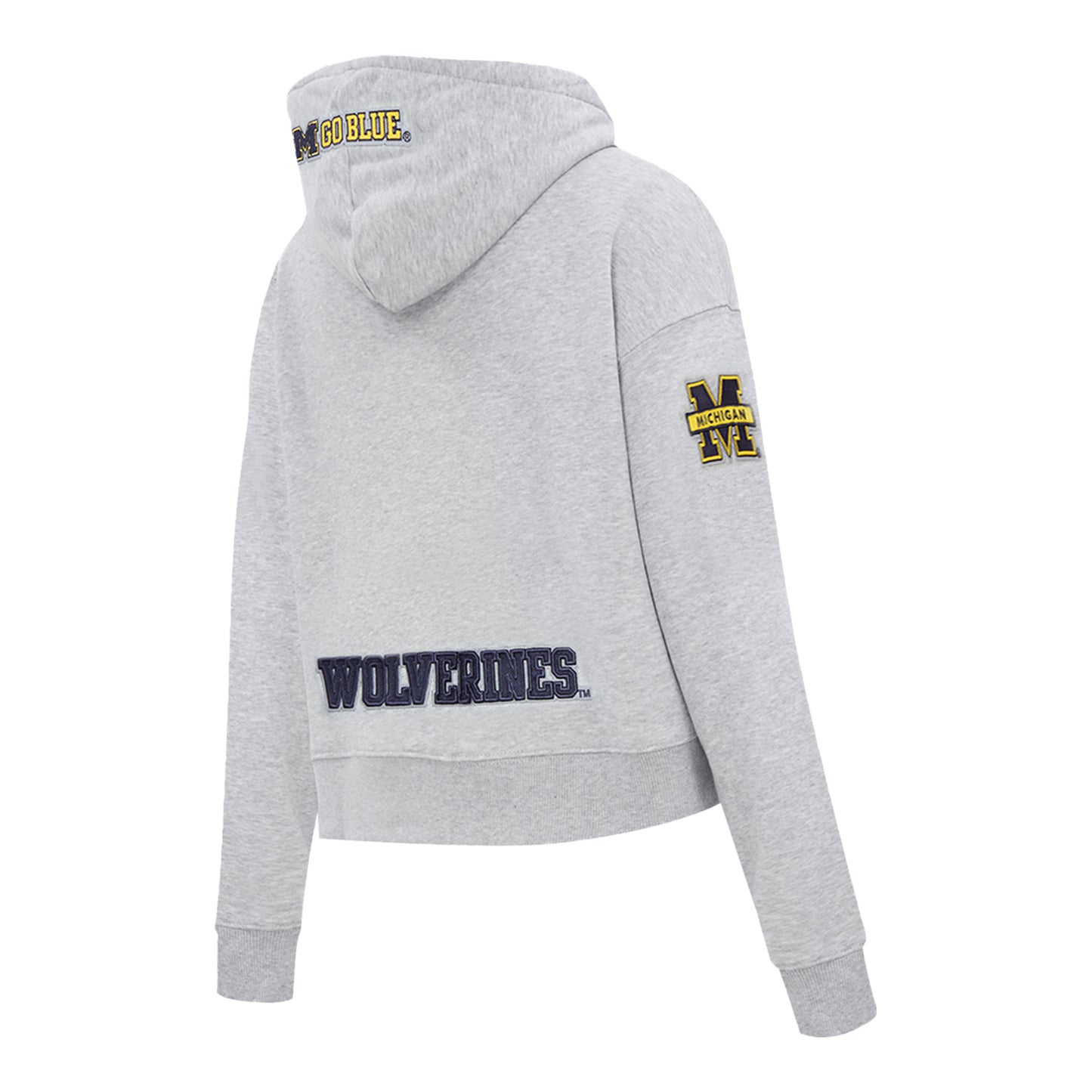 Women's Michigan Wolverines Pro Standard Cropped Hoodie - Back View