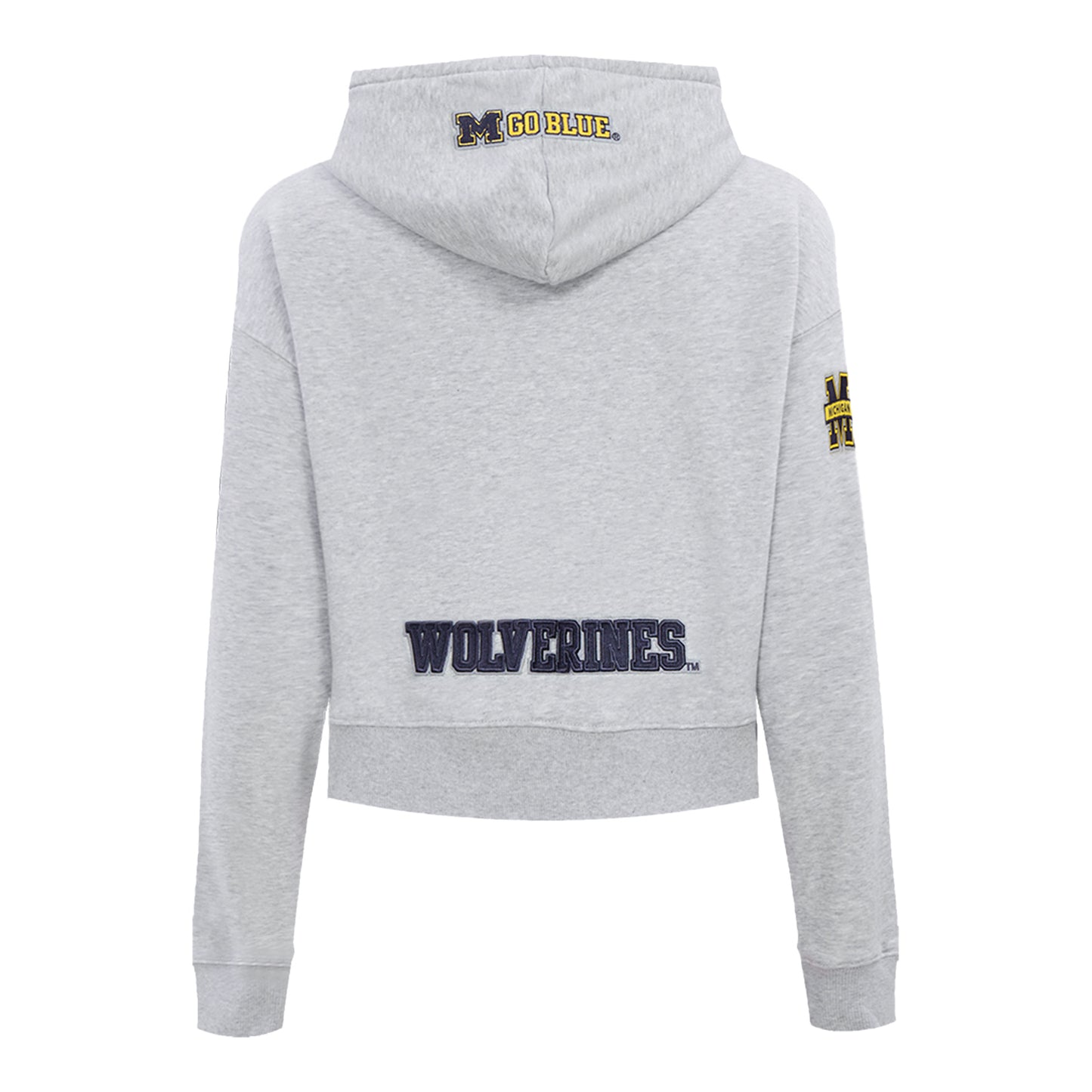 Women's Michigan Wolverines Pro Standard Cropped Hoodie - Alternate Back View