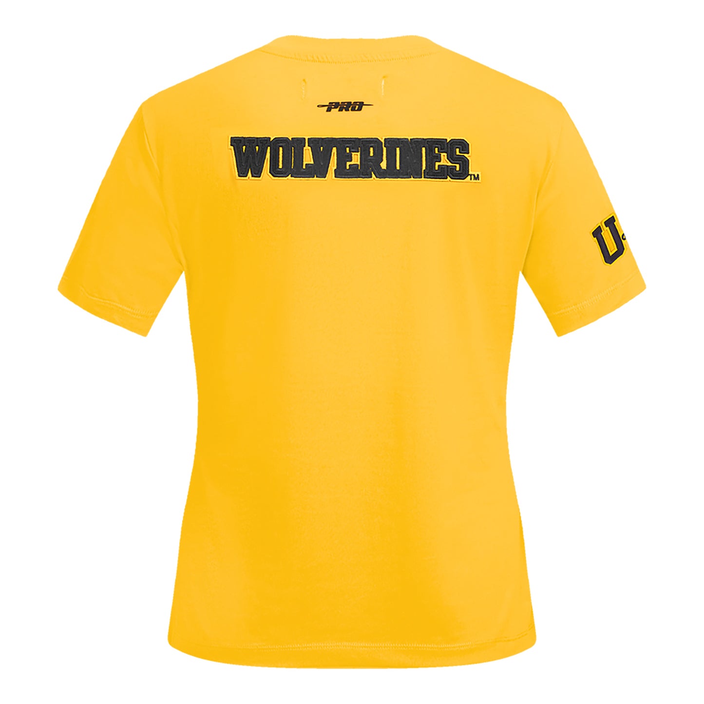 Ladies Michigan Wolverines Pro Standard T-Shirt - Back View