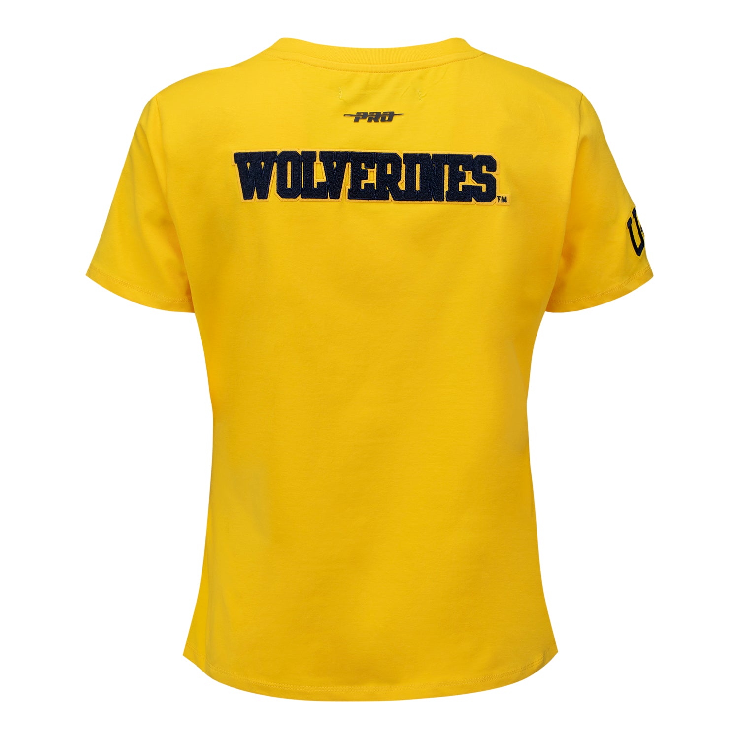 Ladies Michigan Wolverines Pro Standard T-Shirt - Back View