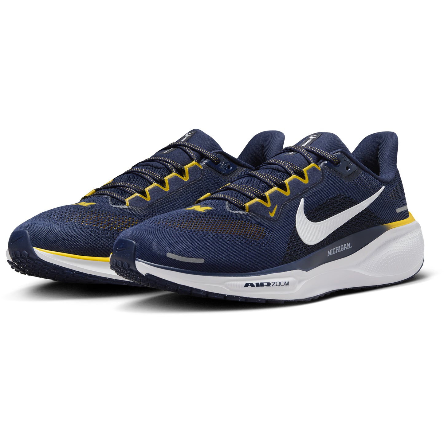 Michigan Nike Zoom Pegasus 41