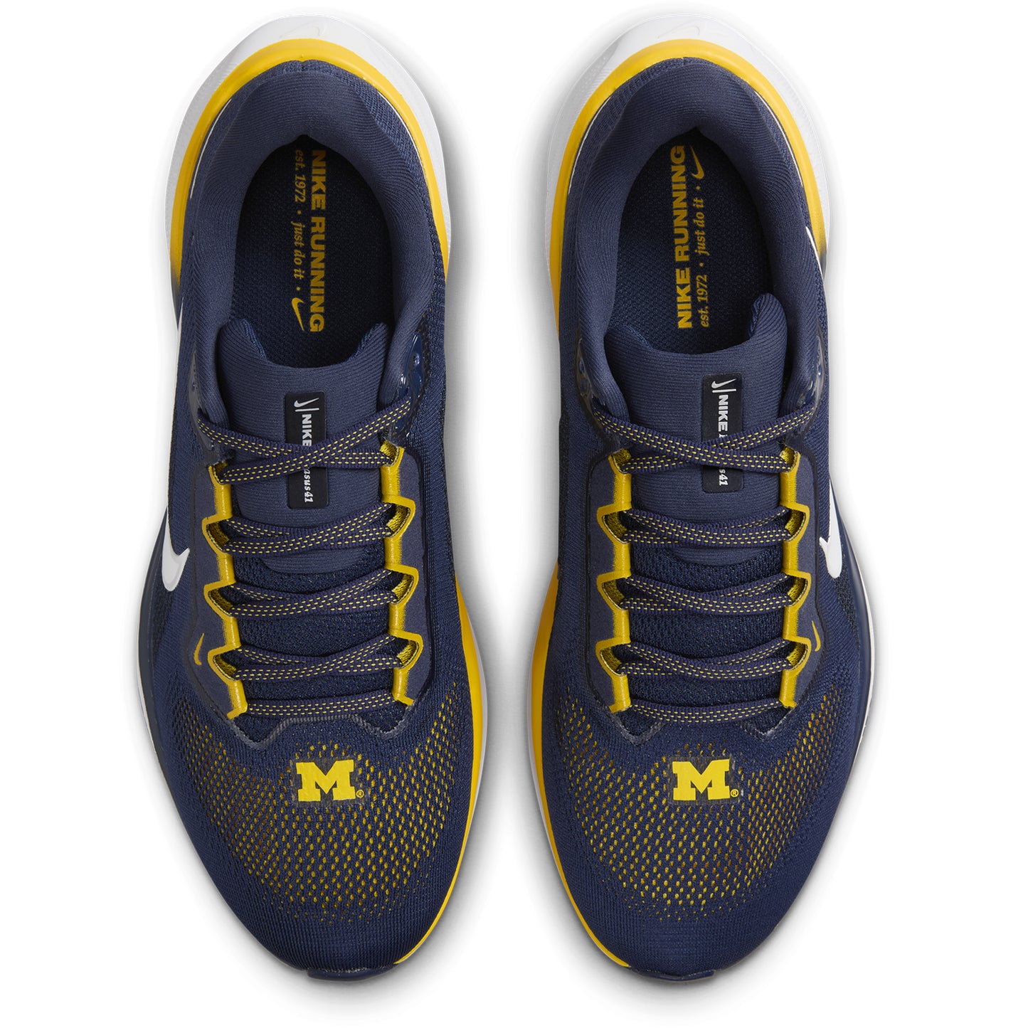 Michigan Nike Zoom Pegasus 41