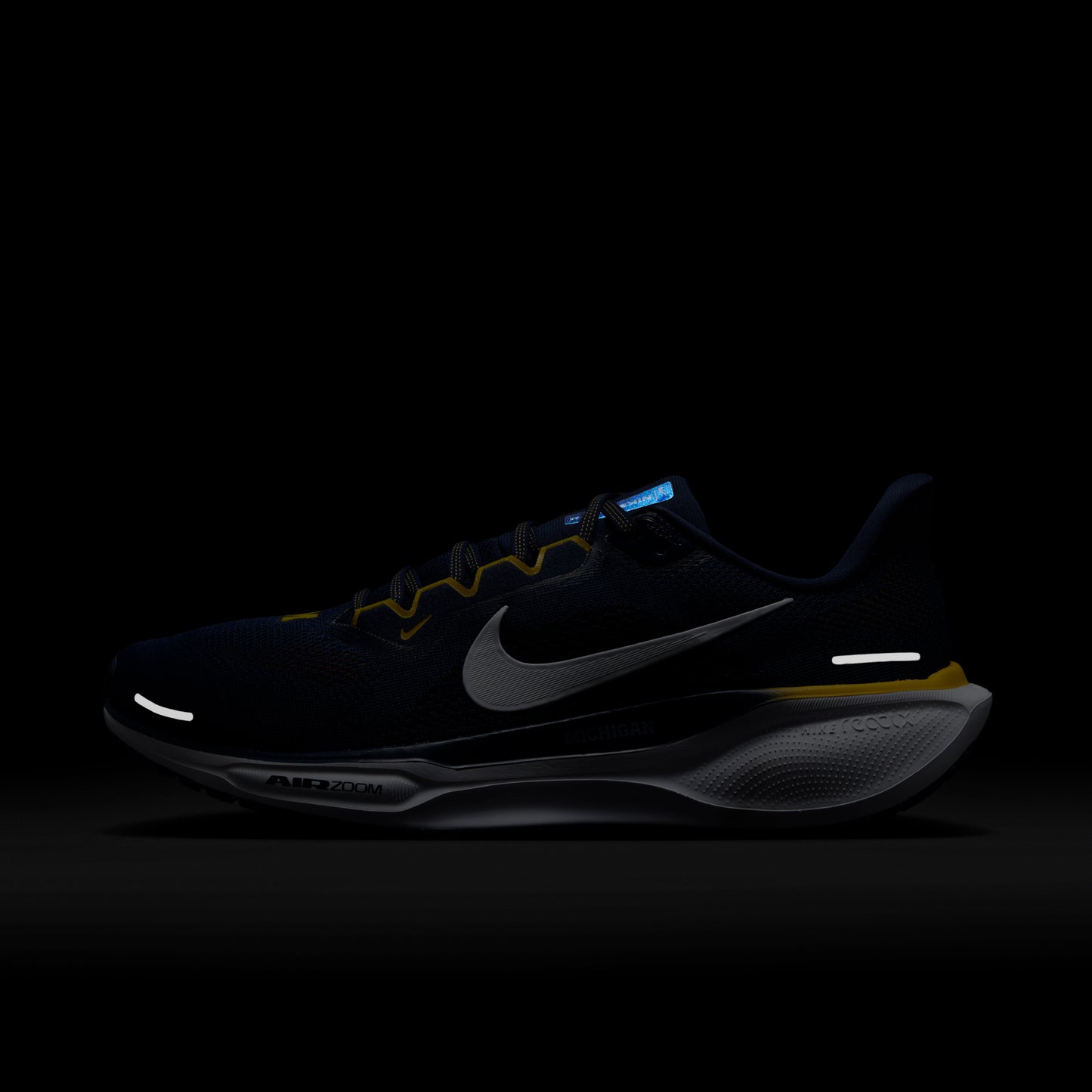 Michigan Nike Zoom Pegasus 41