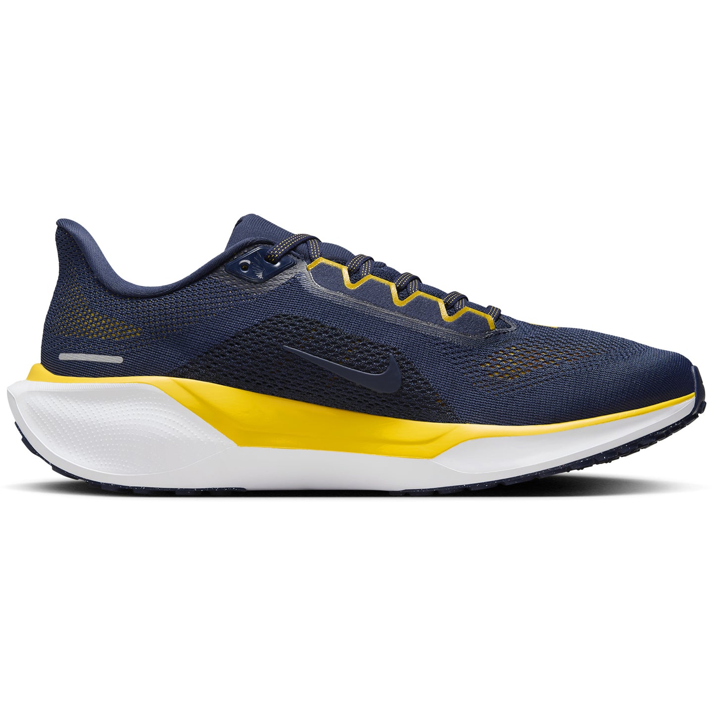 Michigan Nike Zoom Pegasus 41