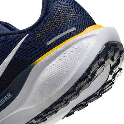 Michigan Nike Zoom Pegasus 41