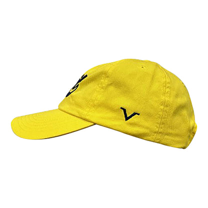 Valiant Hail Adjustable Hat - Back View