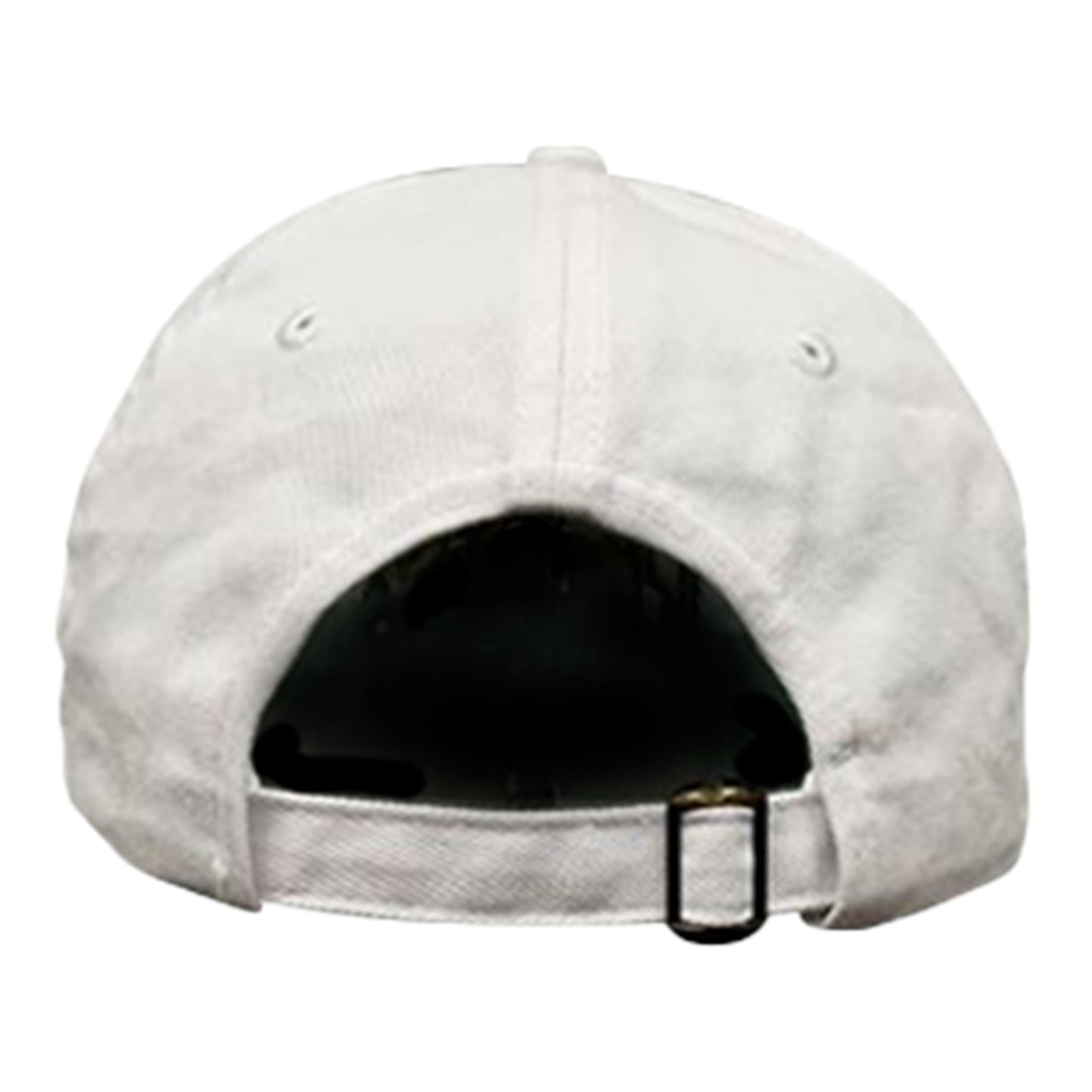 Valiant Hail Adjustable Hat - Back View