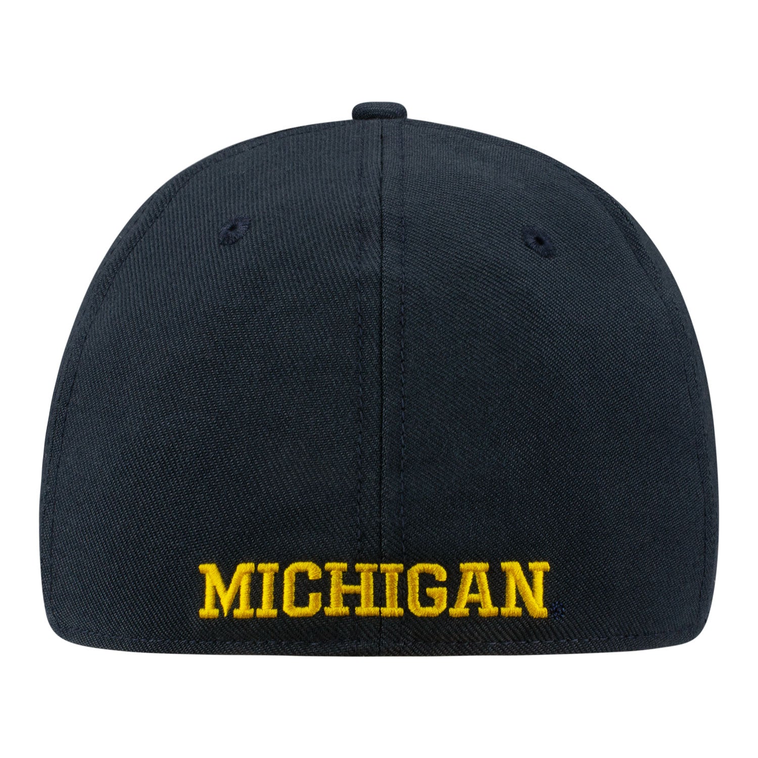Michigan Wolverines Jordan Practice Flex Hat In Black - Back View