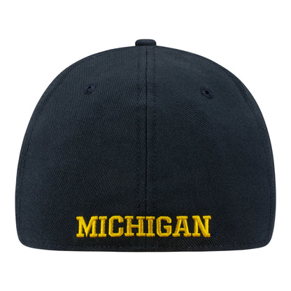 Michigan Wolverines Jordan Practice Flex Hat In Black - Back View