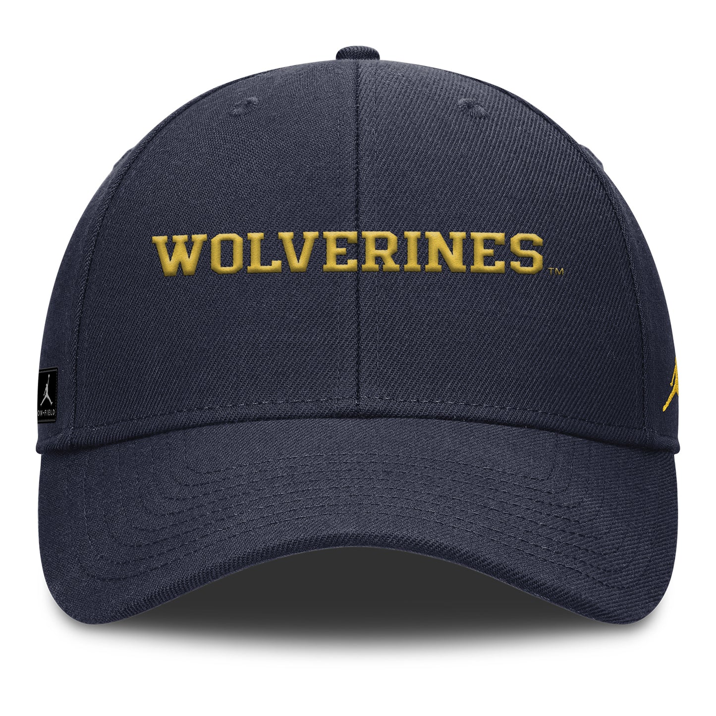 Michigan Wolverines Nike Jordan Navy Rise Adjustable Gameday Hat - Front View