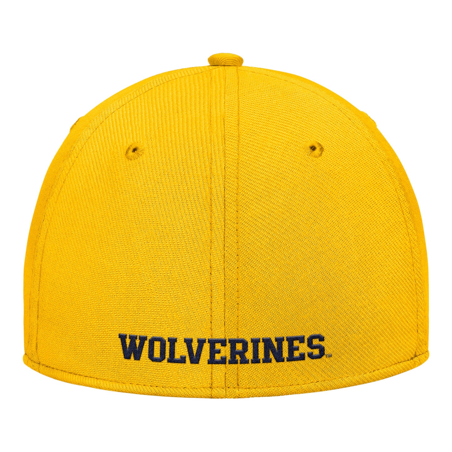 Michigan Wolverines Nike Jordan Yellow FlexFit Rise Adjustable Gameday Hat - Back View