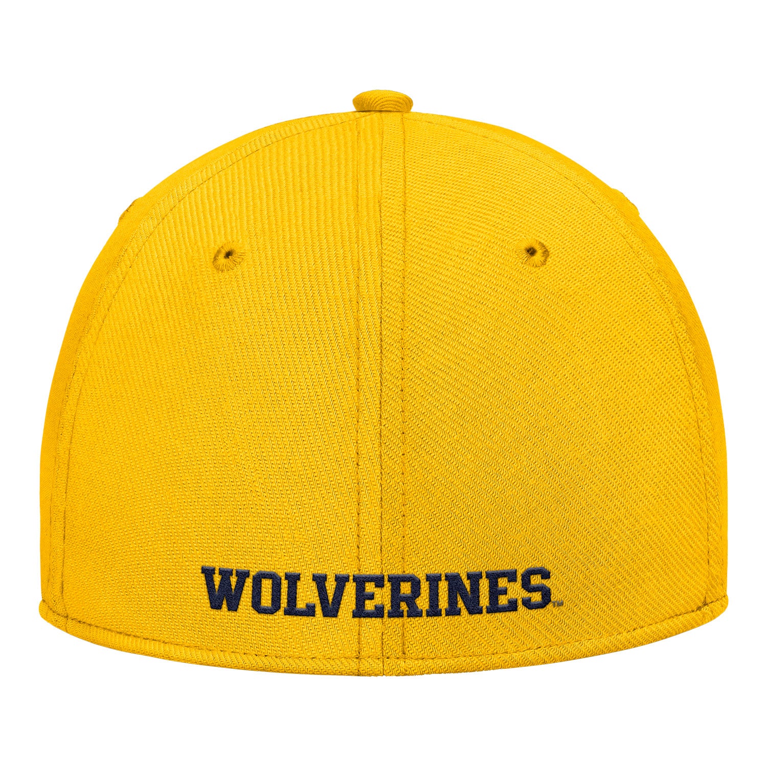 Michigan Wolverines Nike Jordan Yellow FlexFit Rise Adjustable Gameday Hat - Back View