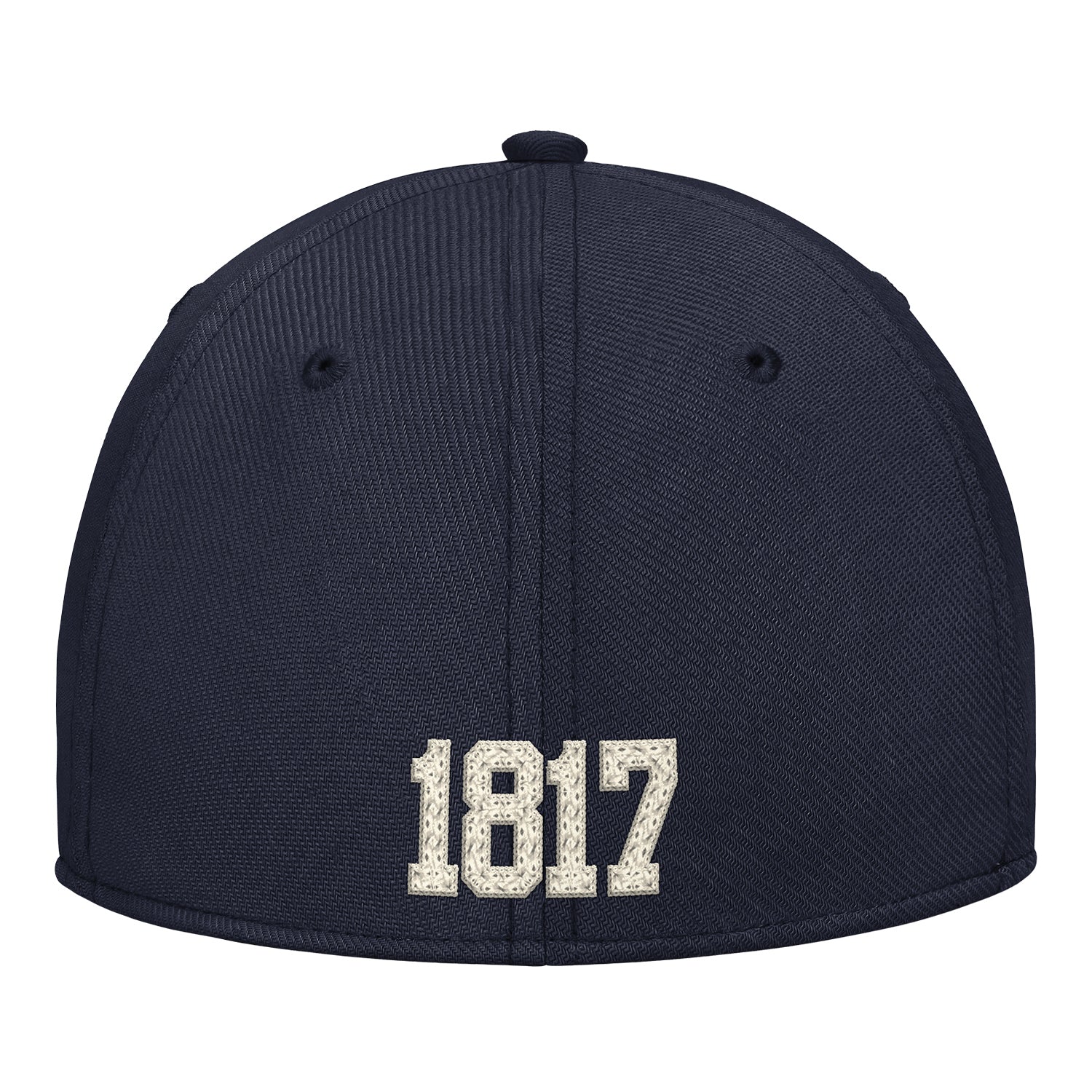 Michigan Wolverines Jordan Navy 1817 Flex Hat - Back View