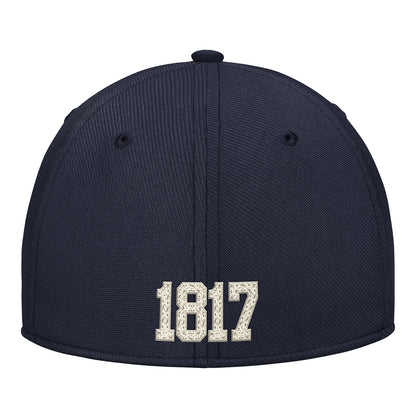 Michigan Wolverines Jordan Navy 1817 Flex Hat - Back View