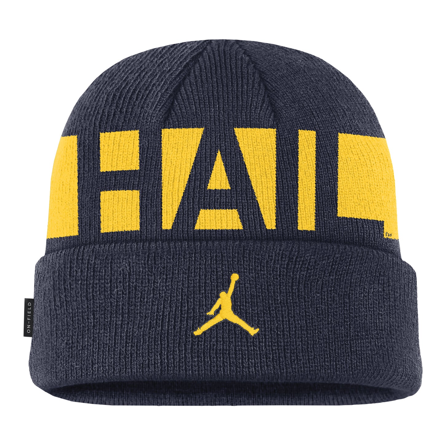 Michigan Wolverines Jordan Utility Beanie Cap - Back View
