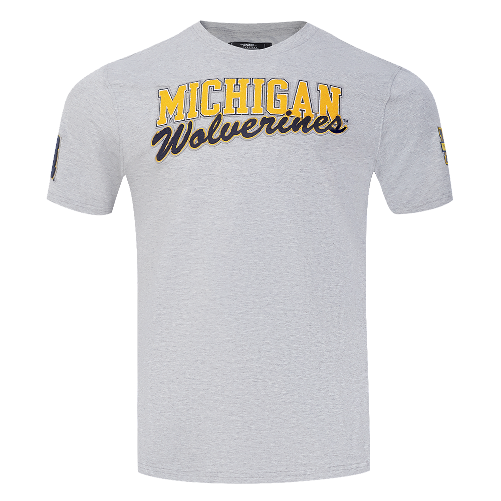 Michigan Wolverines Gray Pro Standard Wordmark Sleeve Hits T-Shirt - Front View